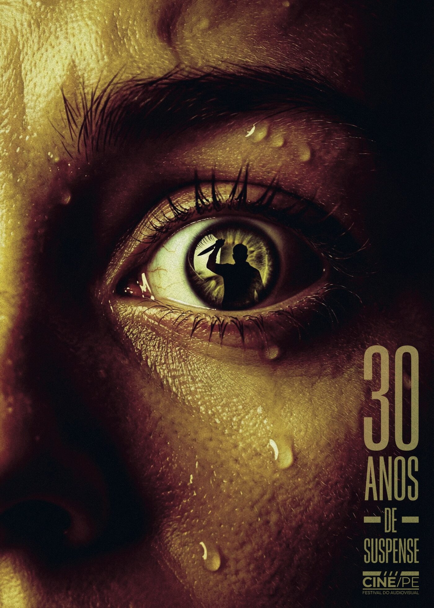 Cartaz "30 anos de Suspense", por Guilherme Rocha Neto